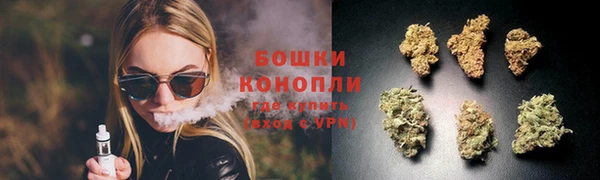 сатива Ладушкин