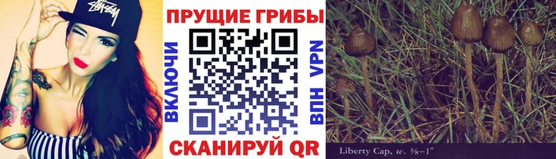 наркотики  Медынь  Псилоцибиновые грибы мухоморы 